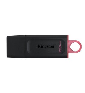 PENDRIVE KINGSTON DATATRAVELER EXODIA 256GB - USB 3.2 GEN 1 - COMPATIBLE WINDOWS/MAC/LINUX/CHROME OS